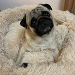 Soothing Calming Dog Bed