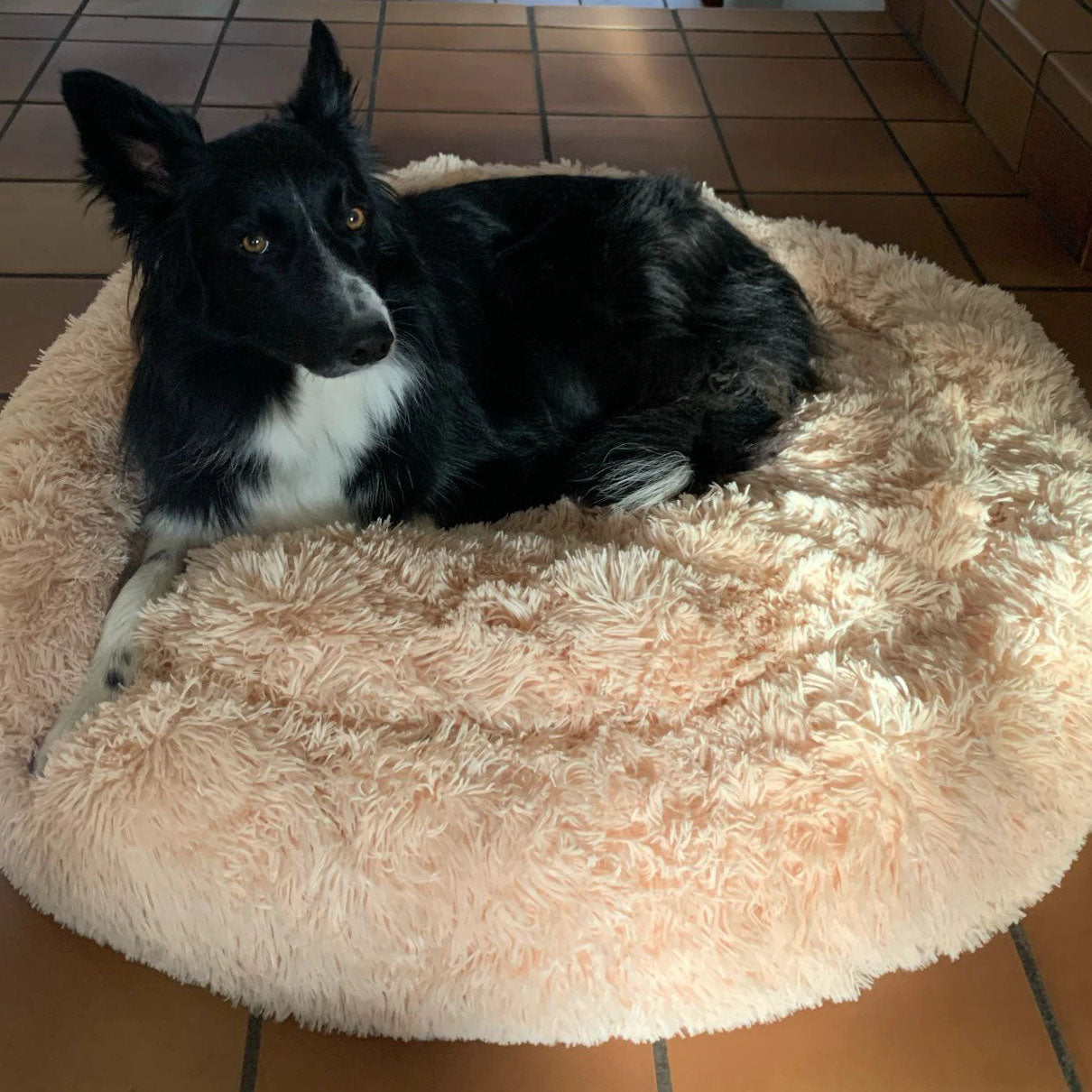 Soothing Calming Dog Bed