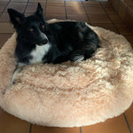 Soothing Calming Dog Bed