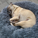 Soothing Calming Dog Bed