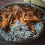 Soothing Calming Dog Bed
