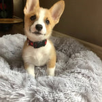 Soothing Calming Dog Bed