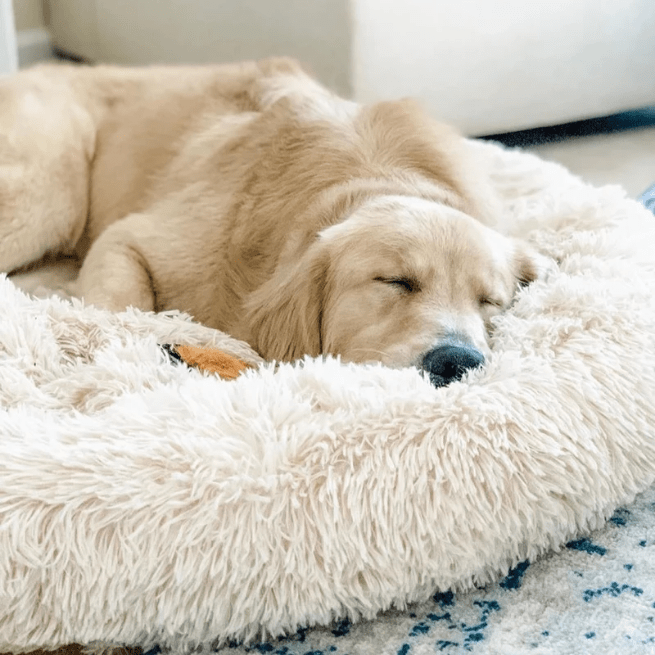 Soothing Calming Dog Bed
